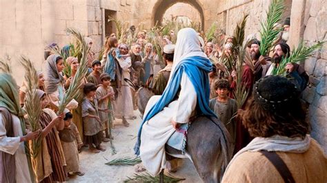 5 Things About Palm Sunday That Remind Us Christ Is King School Of Life