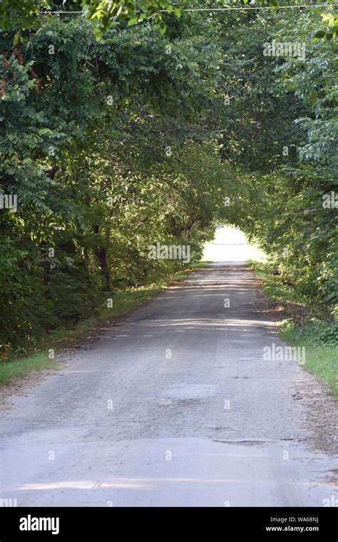 Tree Lined Country Road Stock Photo Alamy