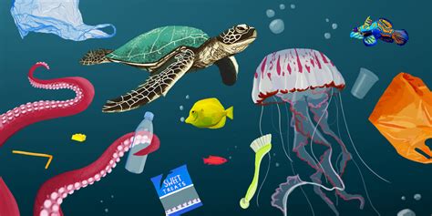 How Does Plastic Pollution Affect The Ocean