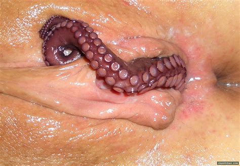 Octopus Out Of Pussy XXX Porn Library