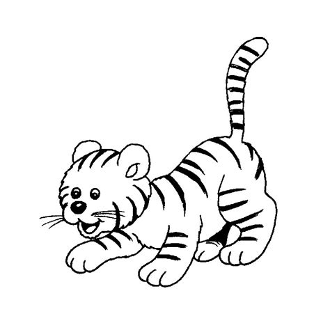 Coloriage Tigre 13624 Animaux Dessin à colorier Coloriages à