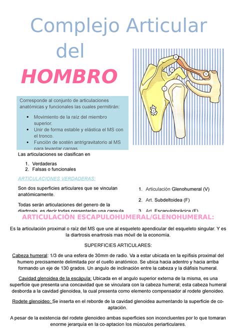 Complejo Articular Del Hombro Anatomia Complejo Articular Del HOMBRO