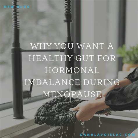 Why You Want A Healthy Gut For Hormonal Imbalance During Menopause Dana Lavoie Lac