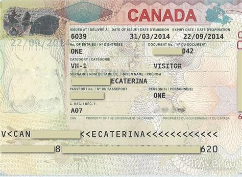 Obtaining A Student Visa In Canada A Step By Step Guide