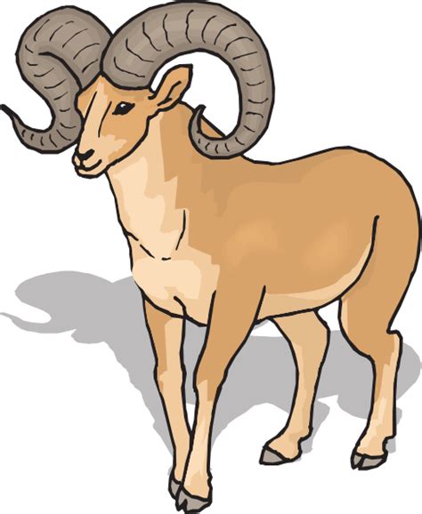 Bighorn Sheep Clipart 20 Free Cliparts Download Images On Clipground 2023