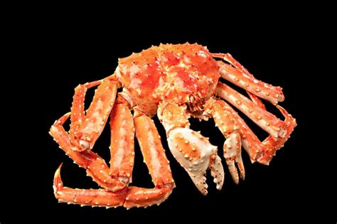 15 Types Of Ocean Crabs Characteristics