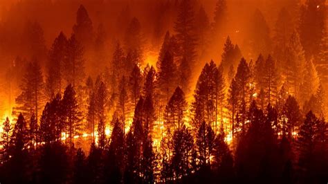 Ca Wildfire Updates Latest On Dixie Trinity County Fires Sacramento Bee