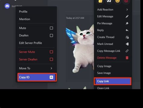 How To Work With Discord Reactive Images As A Beginner 2022 Laptrinhx