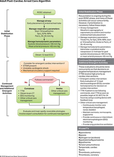 Adult Post Cardiac Arrest Care Algorithm Aha2020 Initial Grepmed