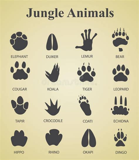 Set Of Jungle Animal Tracks Stock Illustration In 2020 Animal Tracks