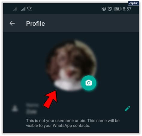 whatsapp default profile picture