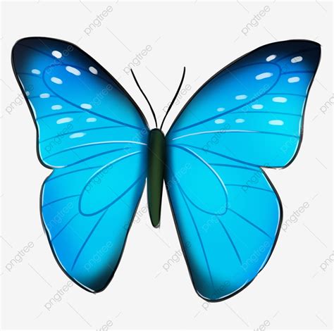 Mariposa Azul Patrón Negro Mariposa Hermosa Mariposa, Mariposa Azul ...