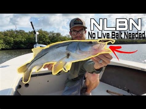 Does Nlbn Lures Live Up To The Hype No Live Bait Needed Paddle