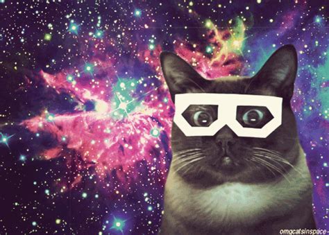 Galaxy Cat Glasses Space S Find And Share On Giphy