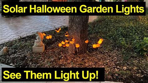 Solar Halloween Decorations Illuminate Your Yard For Trick Or Treat