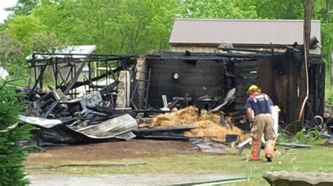 Barn Fire That Left 16 Chickens Dead Ruled Accidental Ctv News