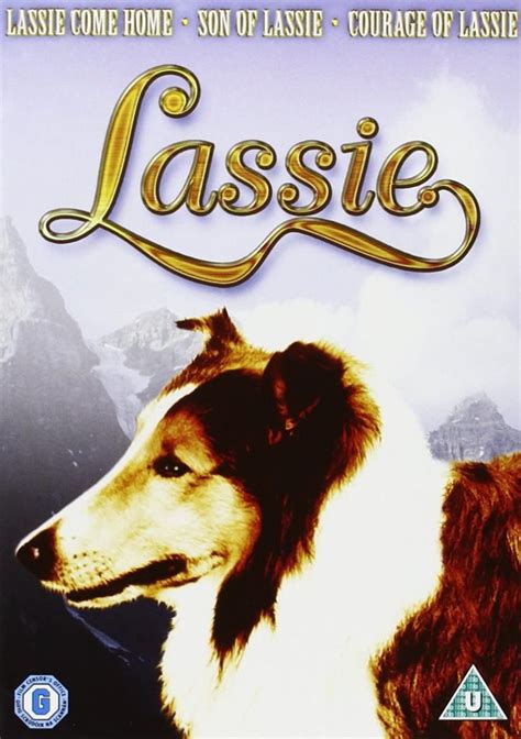 osta lassie lassie come home son of lassie courage of lassie dvd