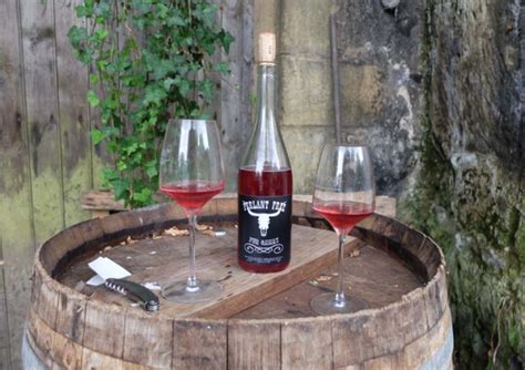 Wine Tasting Vineyards In France Julien Prevel Montlouis Loire
