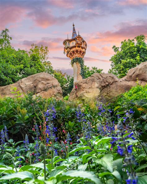 Rapunzels Tower And Purple Flowers Disney Art By William Drew Photography
