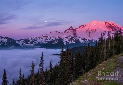 Mount Rainier Full Moon Setting At Sunrise Photograph By Mike Reid Pixels