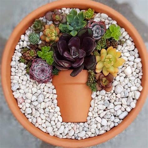 Deco Trend Small Colorful Diy Succulent Flower Garden Pot In Pot My