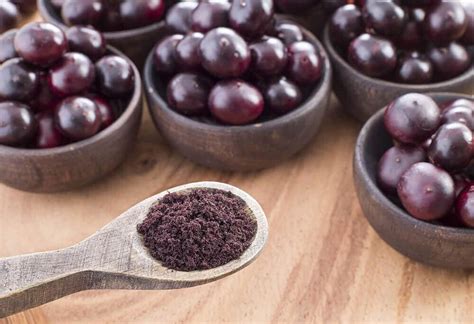 Veja Algumas Dicas De Como Fazer Açaí Polo Sul Máquinas Para Sorvete