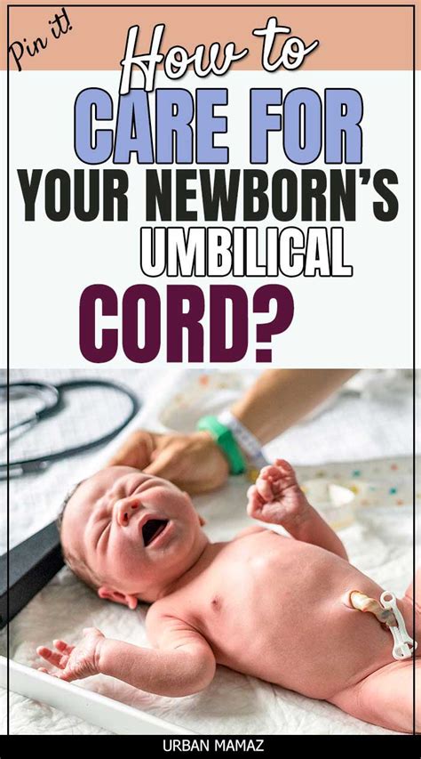 Umbilical Cord Care Dos And Donts For New Parents Urban Mamaz