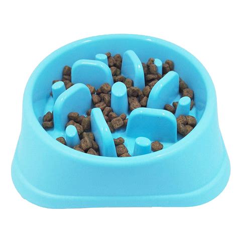 Unleash The Fun With The Top 10 Maze Dog Food Bowls Furry Folly