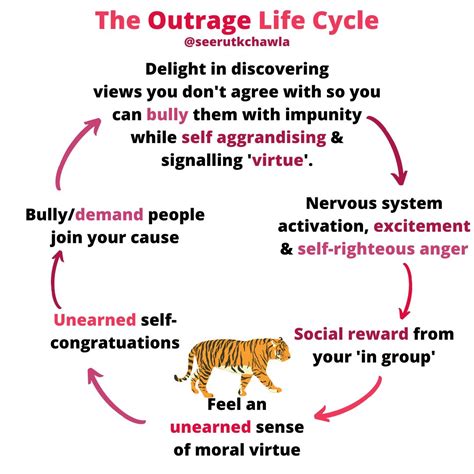 Vecteur Stock Tiger Life Cycle Infographic Diagram Showing Different