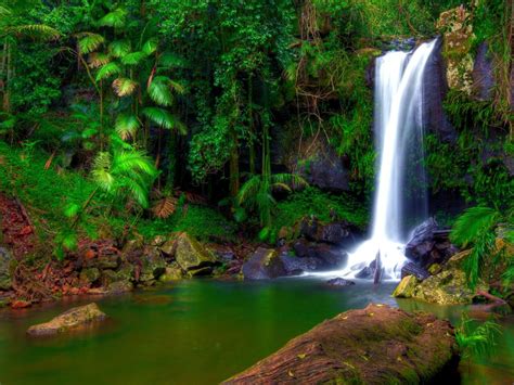 Wonderful Tropical Waterfall Jungle Green Tropical Vegetation Palm