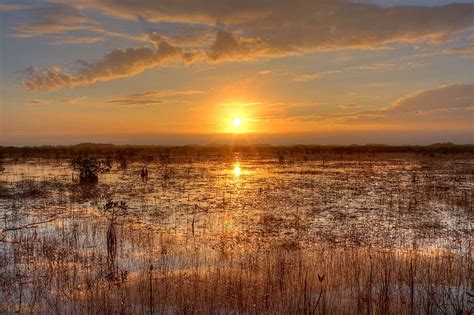 Everglades 1080p 2k 4k 5k Hd Wallpapers Free Download Wallpaper Flare