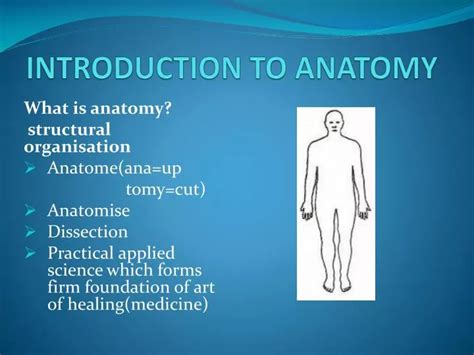 Ppt Introduction To Anatomy Powerpoint Presentation Free Download