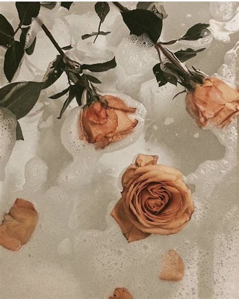 Pastel Soft Grunge Aesthetic ♡ ☹☻ Rose Roses Flower