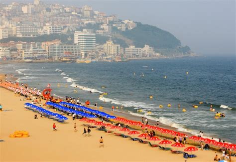 Review Of Haeundae Beach Busan South Korea Afar
