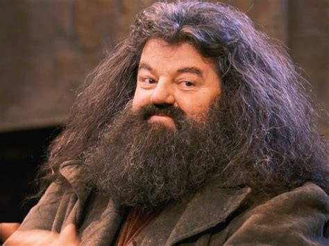 Rubeus Hagrid By Robbie Coltrane Harry Potter Pinterest