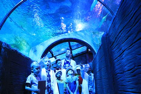 Tickets To Sea Life Blackpool Buy Online Save
