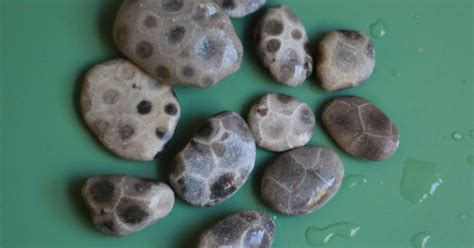 Michigans Coolest Rocks And Where To Find Them