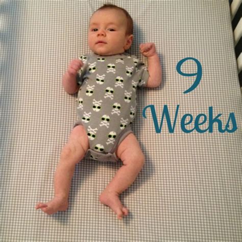 Growing Baby Gardner Cole 9 Weeks August 20 2013