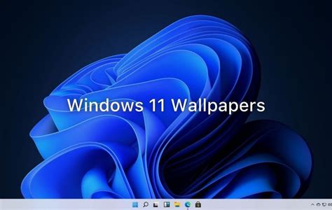 Windows 11 Release Date 2021