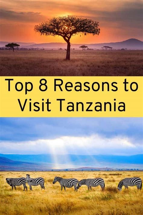 8 of the best things to do in tanzania