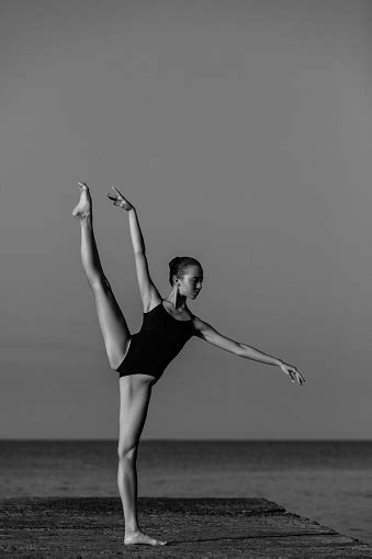 Beauty Of Ballet Stock Photo Download Image Now Ballet Dancer