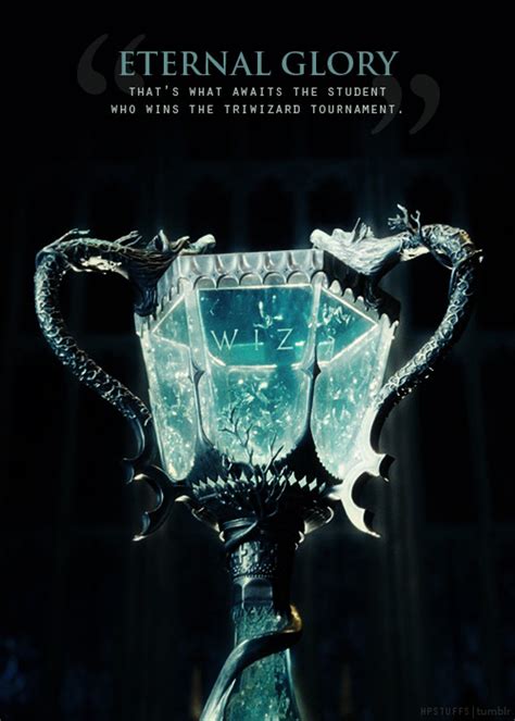 Triwizard Tournament On Tumblr