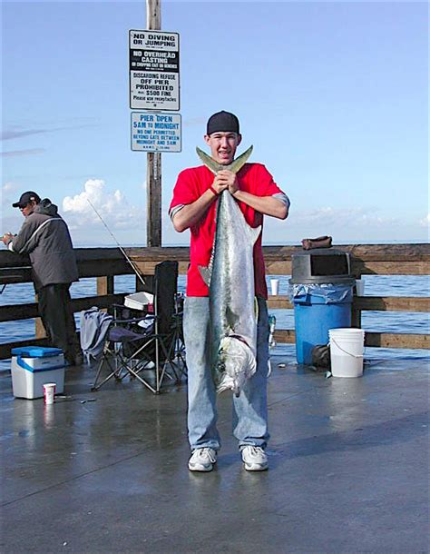 California Yellowtail Pier Fishing In California