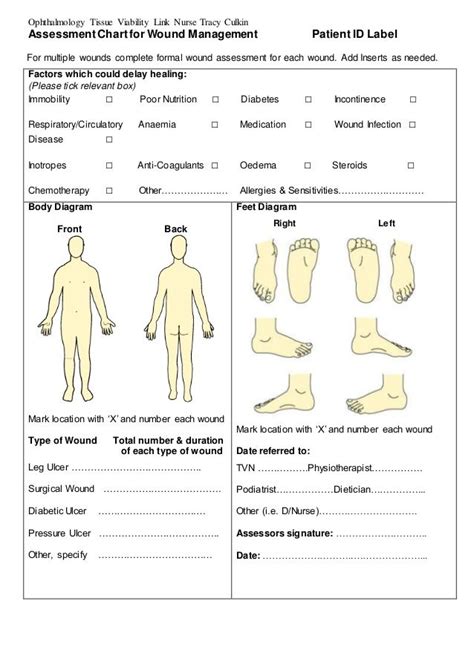 Assessment Chart For Wound Management Patient Id Lab Wound Care