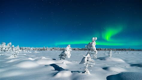 Dreaming Of A Winter Wonderland In Swedish Lapland Photofocus