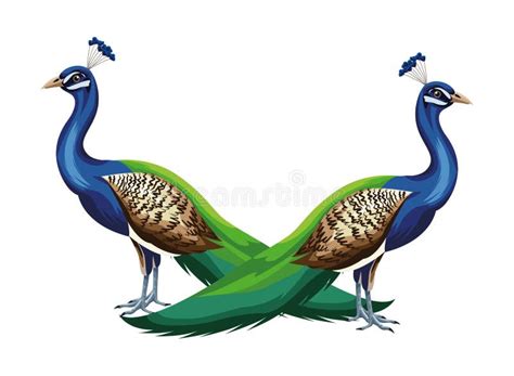 Peacock Bird Icon Cartoon Isolated Stock Vector Illustration Of