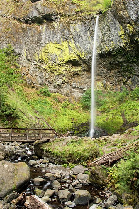 Elowah Falls Photograph By Lindsay Coffey Fine Art America