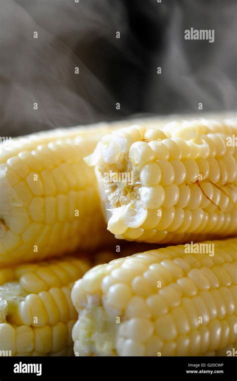 Steaming Corn Cobs Stock Photo Alamy