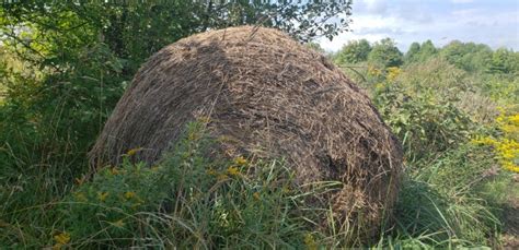 A Round Hay Bale Free Stock Photo Public Domain Pictures