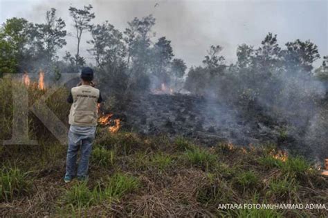Pemerintah Akan Libatkan Peran Masyarakat Di Desa Rawan Kebakaran Hutan